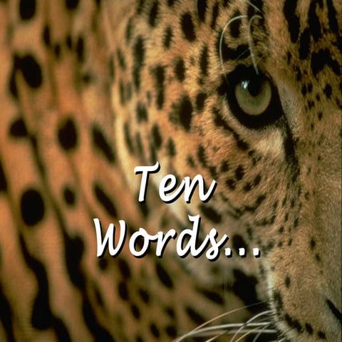 10 Precious Words.
