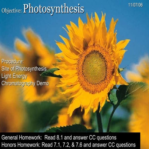 Photosynthesis Part 1
