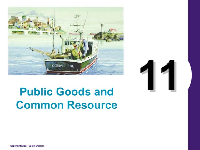 11 | PPT