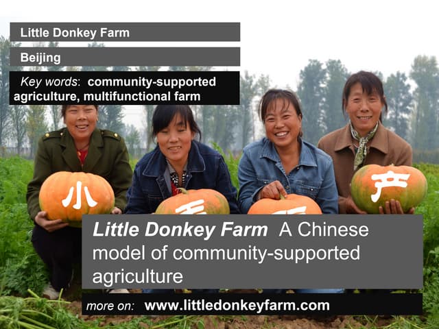 Little Donkey Farm  A Chinese model of community-supported agriculture     