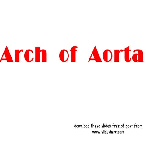 arch of aorta