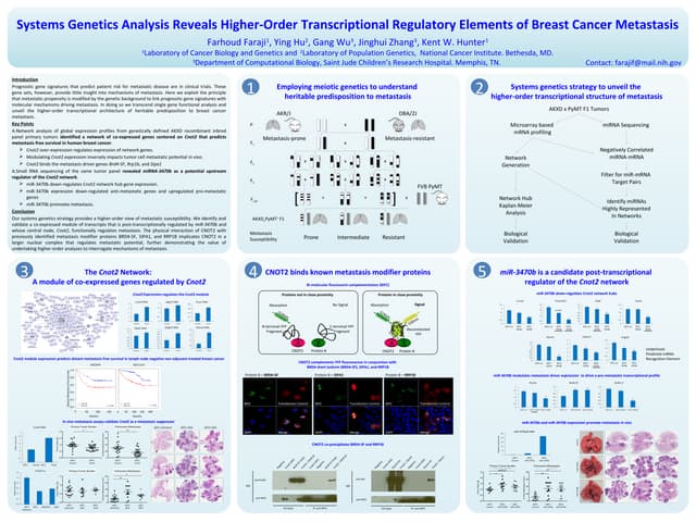 11.06.13 - 2013 NIH Research Festival Poster