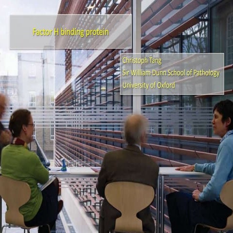 Factor H binding protein and vaccine approaches