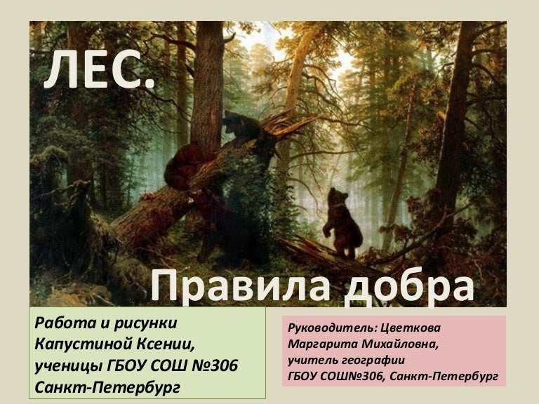 Правила леса никому не доверять. Правило леса мем. Правило леса никому не доверять. Правило леса никому не доверять. Приколы правило охотника.
