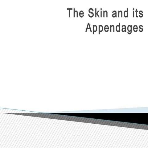 11.a.the skin and its appendages