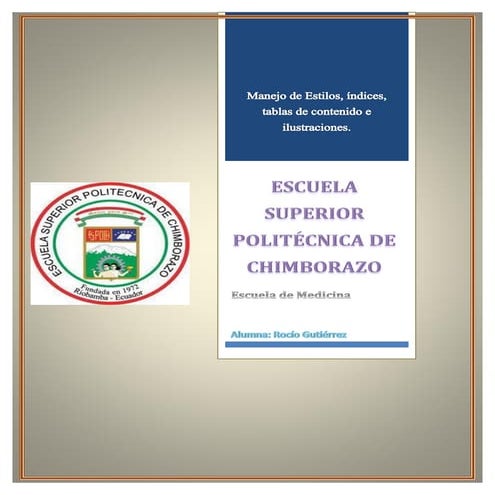 11. manejo de estilos, indices..