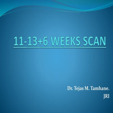 11-13+6 weeks scan