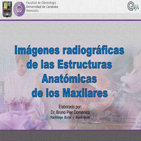 11. 1. imagenes radiograficas mandibula