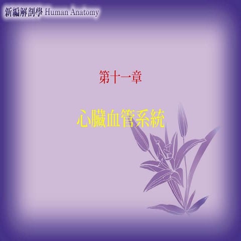 第11章心臟血管系統