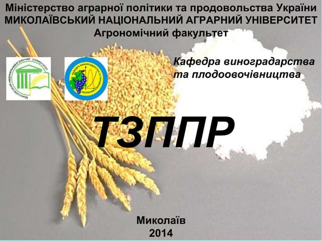 тзппр лекція 11