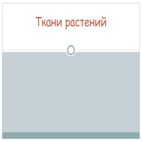 Ткани растений