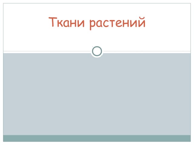 Ткани растений