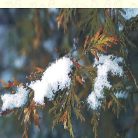 Presentation for education