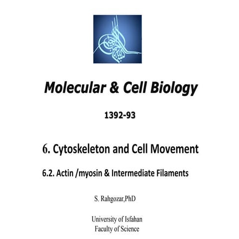 11.Intermediate Filaments - cell biology
