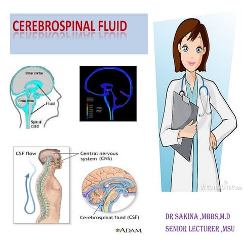 Csf seminar | PPTX