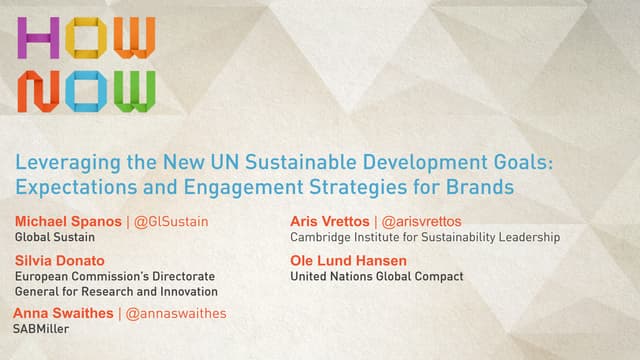 Leveraging the New UN Sustainable Development Goals: Expectations and Engagem...