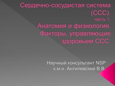 Сердечно-сосудистая система. Часть 1