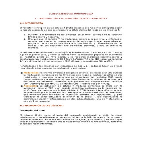 11.   maduración activa de   linfocitos t