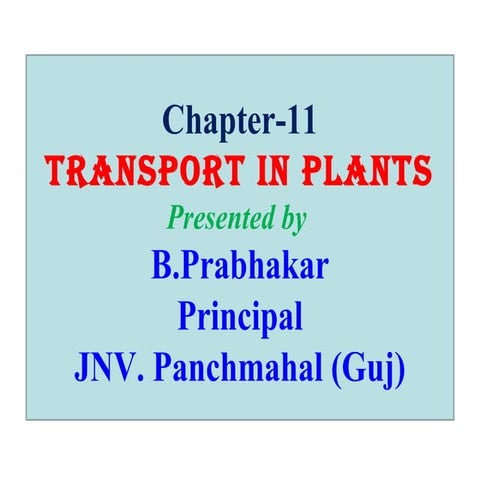 11. Transport in Plants