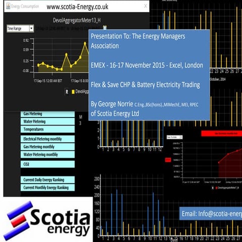 Island Power Generation and Demand Side Purchasing and Selling