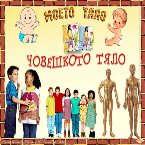 11. Човешкото тяло - ОС, Анубис - В. П.