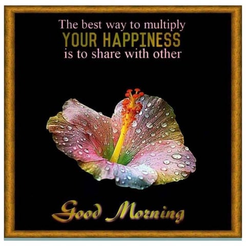 Basic aspects of implants