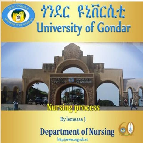 nursing process by lemessa
