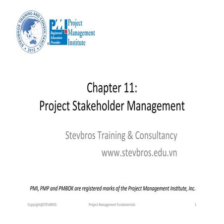 Project Stakeholder Management