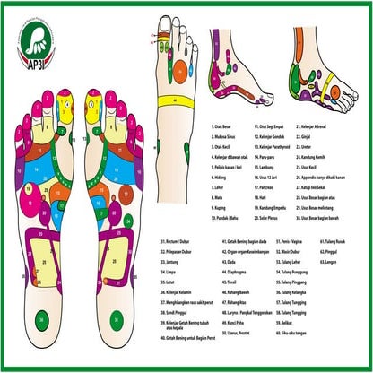 11. ref reflexology chart | PDF