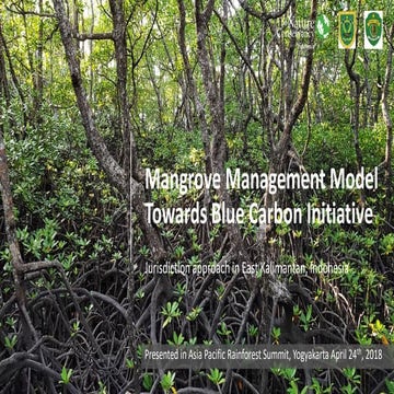 Mangrove management model towards blue carbon initiative
