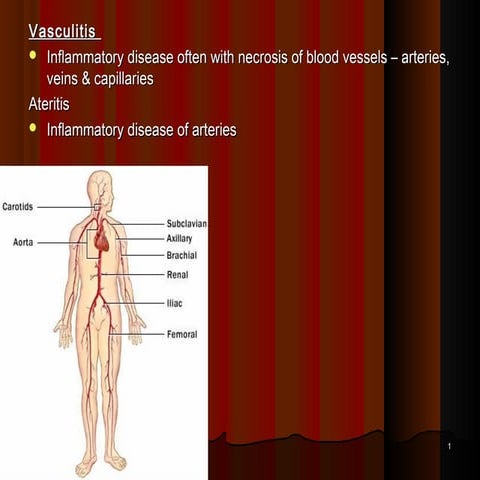 11.Vascular pathology