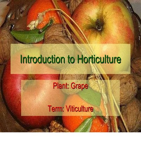 11 18 Viticulture Ppt