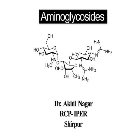 Aminoglycosides (Antibiotics) | PPT