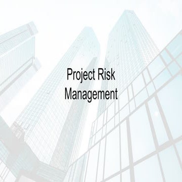 11.0 Project Risk Management Overview