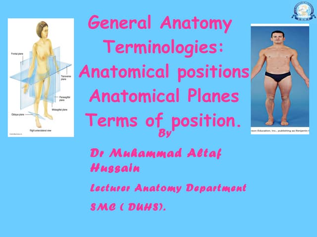 11.20 (dr. nand lal) terminologies anatomical positions anatomical planes ter...