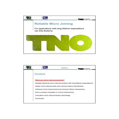 Jan Eite Bullema - TNO
