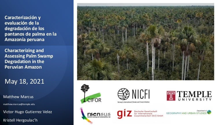 thumbnail of Characterizing and Assesing Palm Swamp Degradation in the Peruvian Amazon