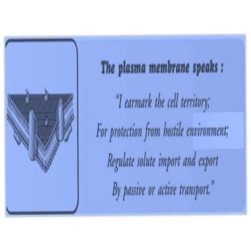 11.Cell membrane and membrane Transport.pptx