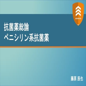 ペニシリン系抗菌薬【ADVANCED2022】