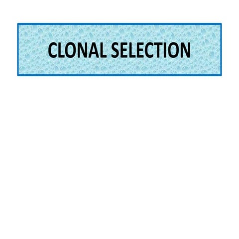 11.CLONAL_SELECTION. by abhisek jena cskhpkv