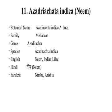 11. Azadriachata indicaaaaaaa (Neem).ppt