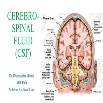 11. CSF.pdf dr. Dharmendra Mishra csf pdf | PDF