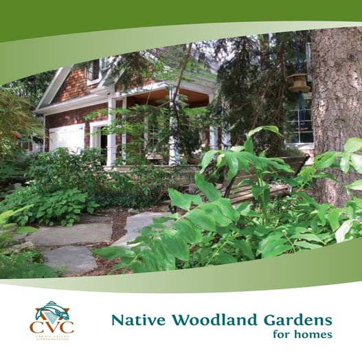 Native Woodland Gardens for Homes