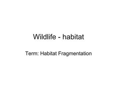 Habitat Fragmentation