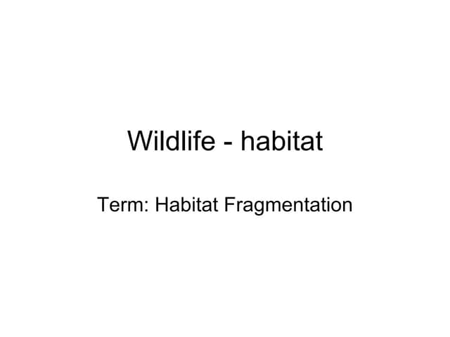 Habitat Fragmentation