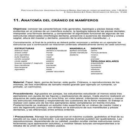 11. anatomia del craneo de mamiferos