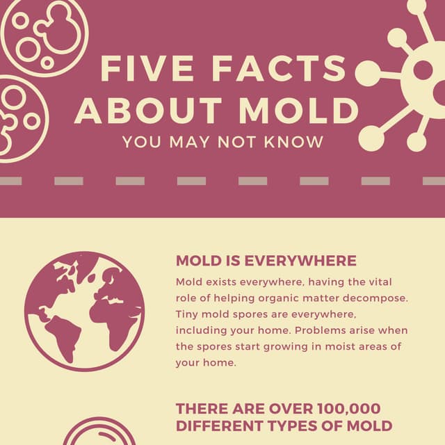 Five Facts About Mold [2020] PDF