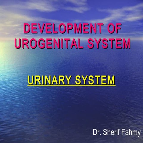 Development of Urogenital System (Special Embryology)