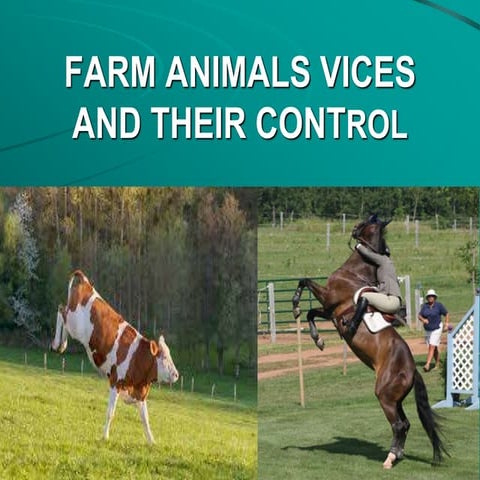 11-Farm Animals Vices and their Control.ppt