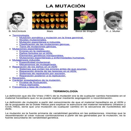 11-La mutación.pdf